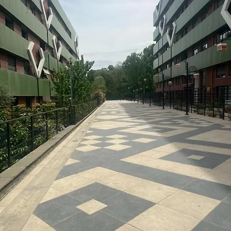 Kodra E Diellit 2 * Selitë e Vogël